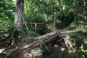 BIB: 
                            <button type="button" onclick="openModal(27799786)" class="btn btn-primary btn-sm float-right btn-popup" data-toggle="modal" data-target=".modal-high-quality">
                        <i class="fas fa-shopping-cart"></i> Add to Cart
                    </button>
                                            <button type="button" onclick="isThisMe(27799786, true)" class="btn btn-success btn-sm float-right btn-popup btn-isme hidden" data-toggle="tooltip" data-placement="bottom" title="นี่คือรูปของคุณใช่ไหม คลิกที่นี่เพื่อเอาเข้าอัลบั้ม">
                        <i class="fas fa-plus"></i> Add to album
                    </button>
                    <button type="button" onclick="isThisMe(27799786, false)" class="btn btn-warning btn-sm float-right btn-popup btn-isnotme hidden">
                        <i class="fas fa-ban"></i> Remove from album
                    </button>